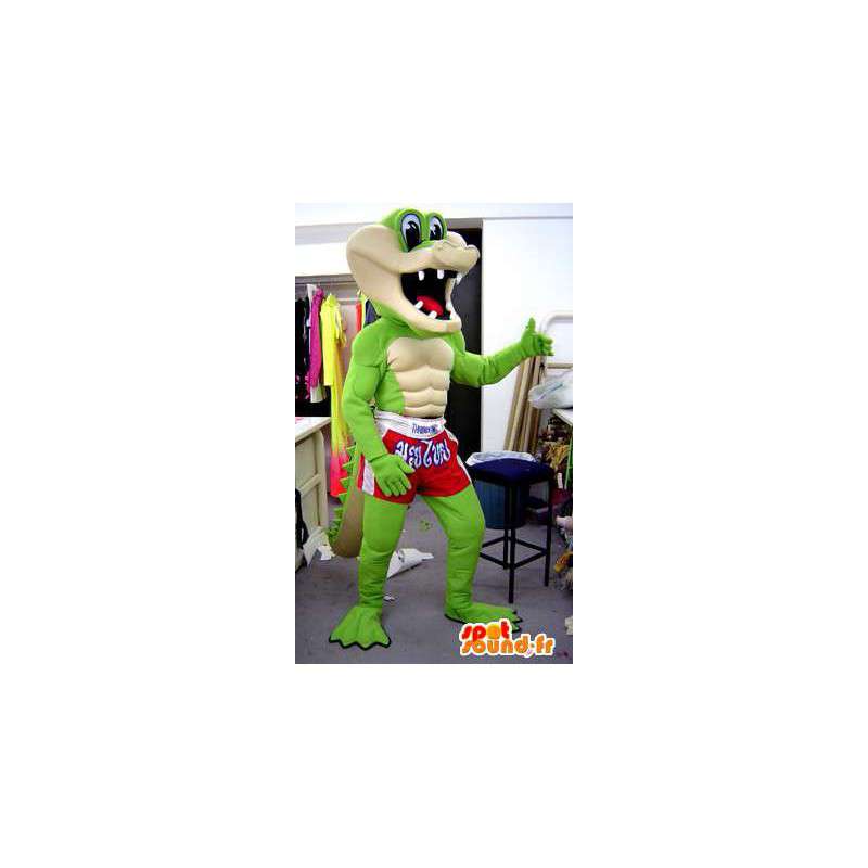 Crocodile boxer mascotte. Crocodile costume - MASFR005550 - Mascotte di coccodrilli