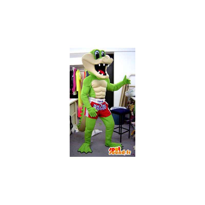 Crocodile Mascote bermudão. traje do crocodilo - Mascote crocodilo - MASFR005550 - SpotSound.fr