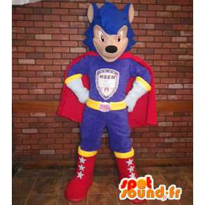 Mascot luchador superhéroe en traje de colores - MASFR005630 - Mascota de superhéroe