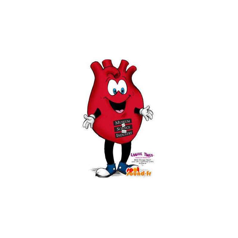 Maskot i form af et organ, et rødt hjerte. Hjerte kostume -