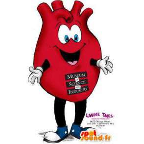 Maskot i form av ett organ, ett rött hjärta. Hjärtadräkt -