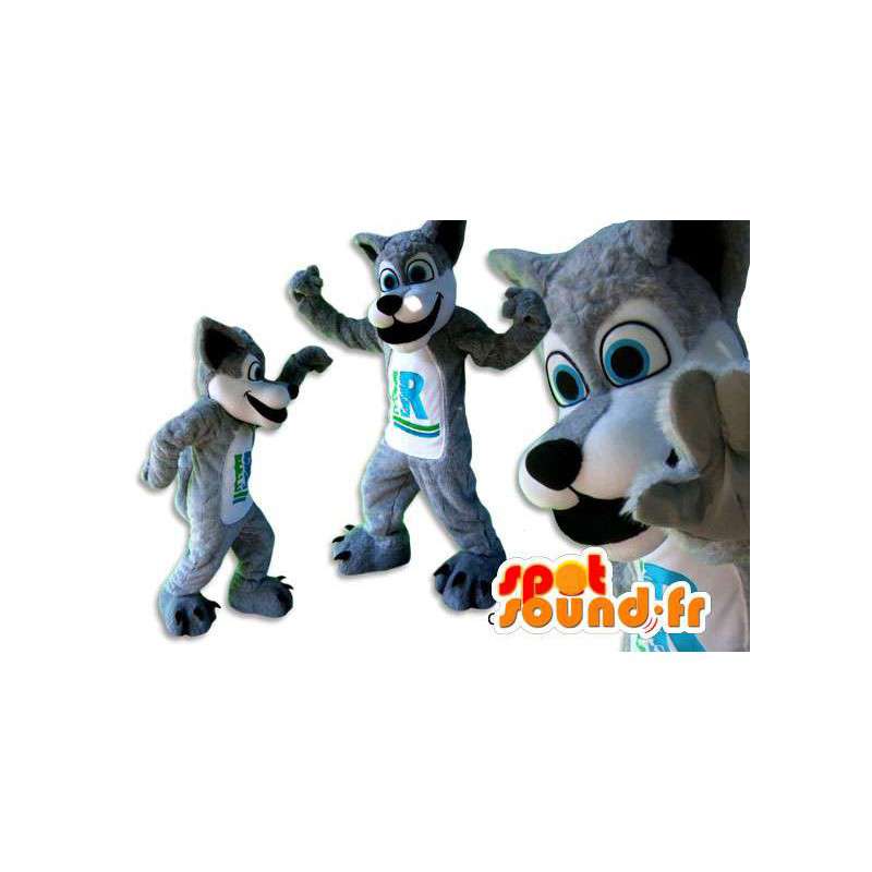 Mascot lobo gris y blanco. Lobo gris del traje - MASFR005839 - Mascotas lobo
