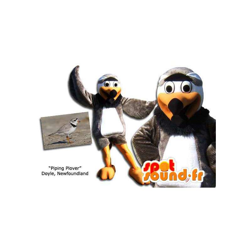 Plover bird mascot. Bird costume - MASFR005853 - Mascot of birds