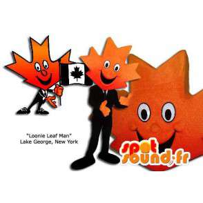 Mascote laranja folha de bordo. Costume Canadá - MASFR005862 - plantas mascotes