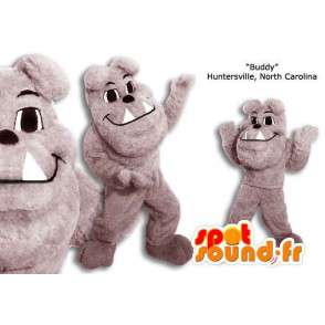 Gray bulldog maskot. Costume bulldog - Hundemaskoter - MASFR005878 - SpotSound.fr