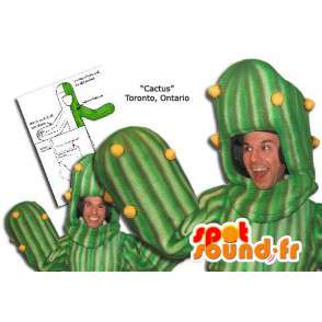 Μασκότ πράσινο κάκτος, γίγαντας. Cactus Κοστούμια - Φυτό μασκότ - MASFR005879 - SpotSound.fr