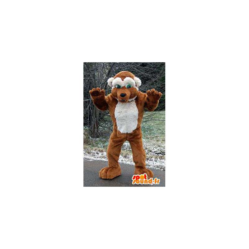 Mascotte d'ours marron et blanc. Costume d'ours - MASFR005987 - Mascotte d'ours