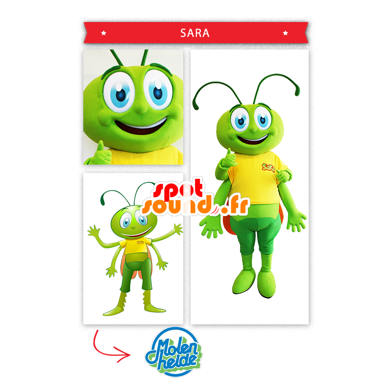 Kriket maskot, zelená kobylka - MASFR20002 - maskoti Insect Kriket maskot, zelená kobylka - MASFR20002 - maskoti Insect