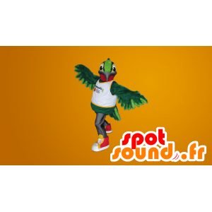 Mascot Green hummingbird, giant - MASFR20046 - Mascot of birds