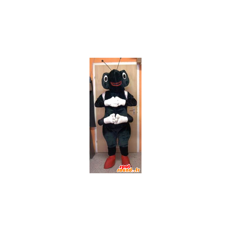 Black and white ant Maskottchen - MASFR20064 - Maskottchen Ameise Black and white ant Maskottchen - MASFR20064 - Maskottchen Ameise