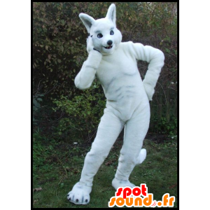 Maskottchen große weiße Kaninchen, sportlich - MASFR20068 - Hase Maskottchen