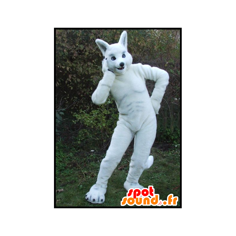 Maskottchen große weiße Kaninchen, sportlich - MASFR20068 - Hase Maskottchen Maskottchen große weiße Kaninchen, sportlich - MASFR20068 - Hase Maskottchen