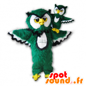 Uggla maskot grön, vit, svart och gul alla håriga - Spotsound
