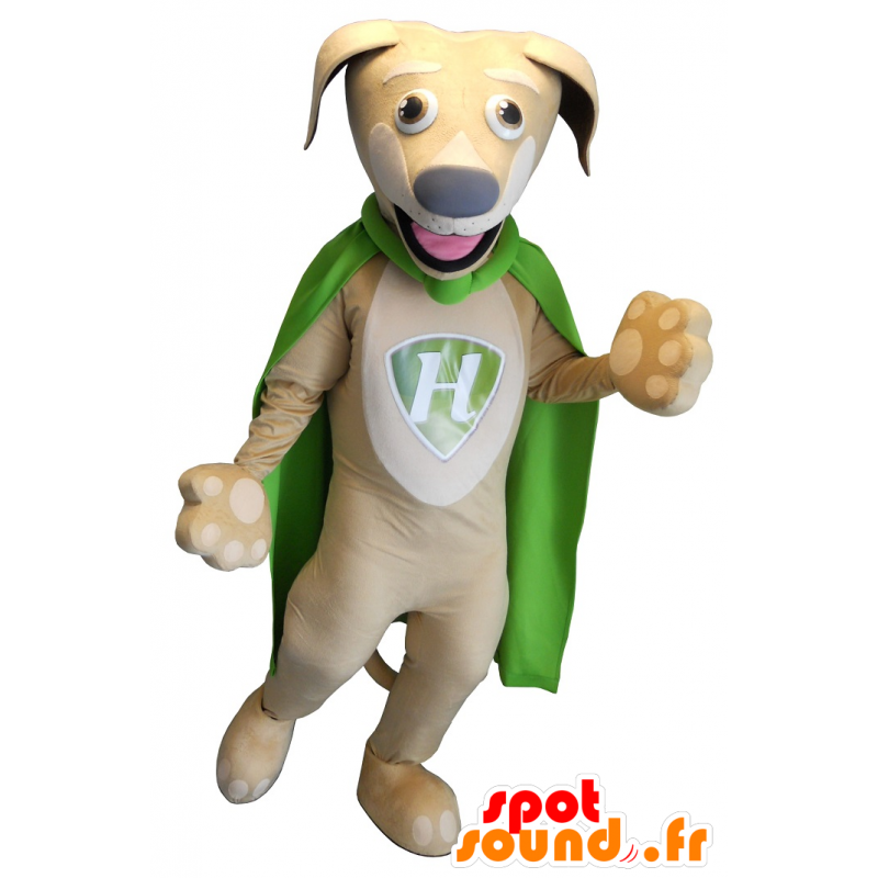 Béžové a bílý pes maskot se zeleným pláštěnku - MASFR20129 - psí Maskoti Béžové a bílý pes maskot se zeleným pláštěnku - MASFR20129 - psí Maskoti