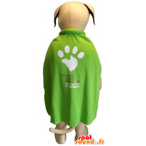 Mascote bege e branco cão com uma capa verde - MASFR20129 - Mascotes cão