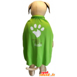 Béžové a bílý pes maskot se zeleným pláštěnku - MASFR20129 - psí Maskoti