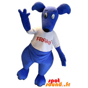 Mascotte de kangourou bleu avec un t-shirt blanc - MASFR20165 - Mascottes Kangourou