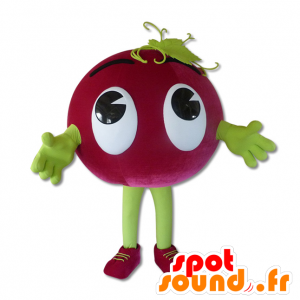 Rypäleen maskotti - MASFR20171 - hedelmä Mascot