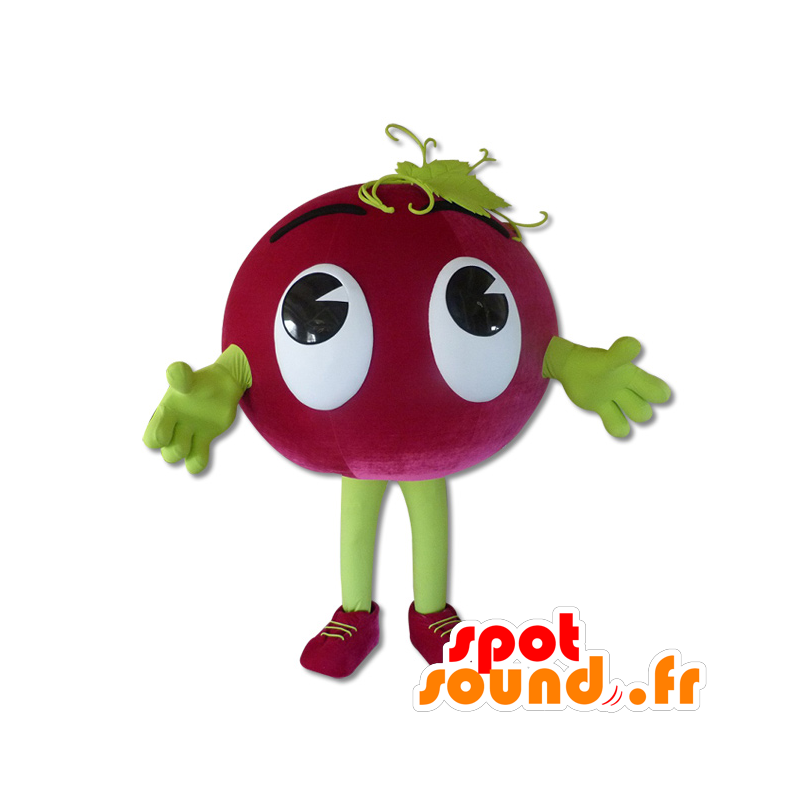 Rypäleen maskotti - MASFR20171 - hedelmä Mascot Rypäleen maskotti - MASFR20171 - hedelmä Mascot