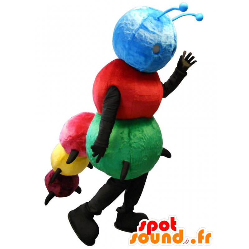 Mascote lagarta multicolorida - MASFR20172 - mascotes Insect Mascote lagarta multicolorida - MASFR20172 - mascotes Insect