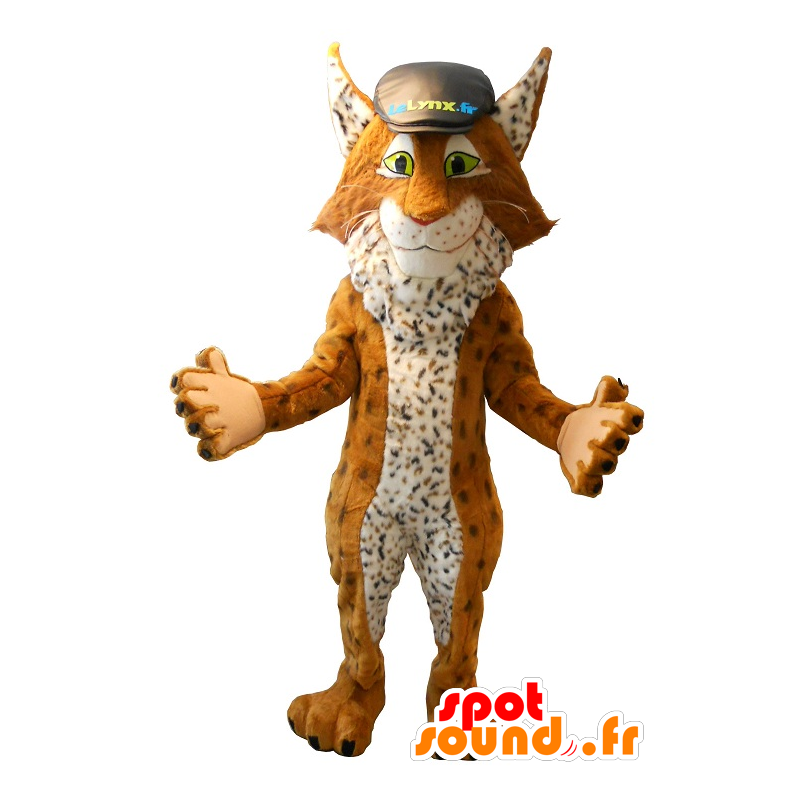 Lynx Maskottchen, berühmte Maskottchen Versicherung vergleichen - MASFR20189 - Maskottchen-Fox Lynx Maskottchen, berühmte Maskottchen Versicherung vergleichen - MASFR20189 - Maskottchen-Fox