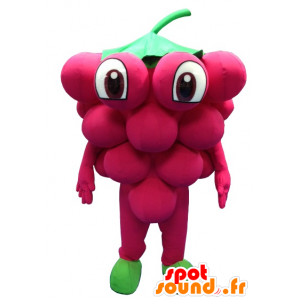 Jätte massa druvor maskot - Spotsound maskot