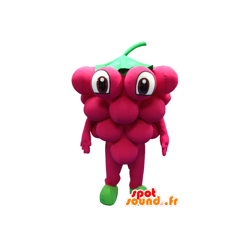 Jätte massa druvor maskot - Spotsound maskot Jätte massa druvor maskot - Spotsound maskot
