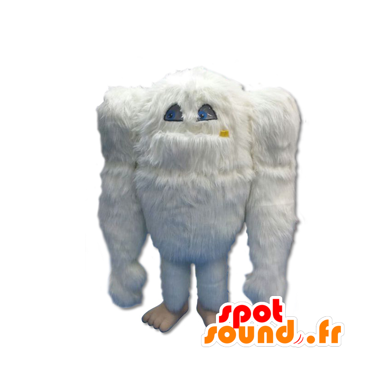 χονδρική λευκό yeti μασκότ, όλα τα τριχωτά - MASFR20264 - εξαφανισμένων ζώων Μασκότ χονδρική λευκό yeti μασκότ, όλα τα τριχωτά - MASFR20264 - εξαφανισμένων ζώων Μασκότ