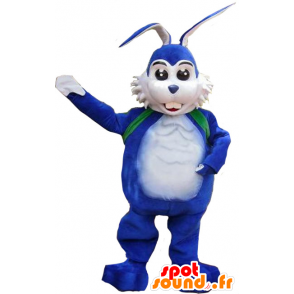 Weiße und blaue Kaninchen Maskottchen - MASFR20283 - Hase Maskottchen