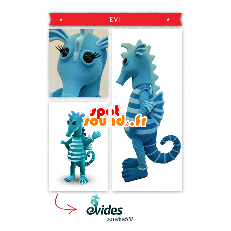 Maskot koník, modrá bicolor - MASFR20290 - Maskoti oceánu Maskot koník, modrá bicolor - MASFR20290 - Maskoti oceánu