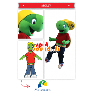 Maskotka Franklin, słynnej kreskówki żółwia - MASFR20316 - Turtle Maskotki