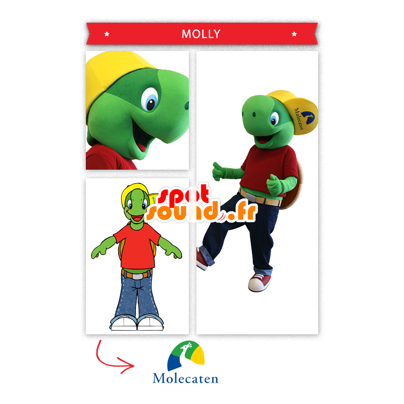 Mascot Franklin, the famous cartoon turtle - MASFR20316 - Mascots turtle Mascot Franklin, the famous cartoon turtle - MASFR20316 - Mascots turtle