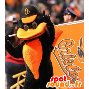 Czarny i pomarańczowy kruk maskotka - MASFR20359 - ptaki Mascot