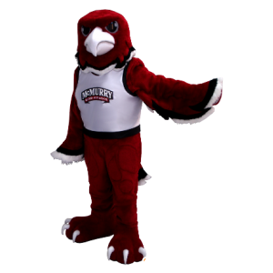 Mascot rød ørn, svart og hvitt - MASFR20360 - Mascot fugler