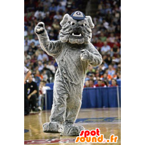 Mascot big gray dog, sweet and hairy bulldog - MASFR20378 - Dog mascots