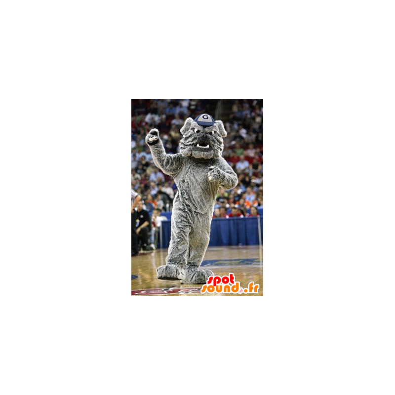Mascot big gray dog, sweet and hairy bulldog - MASFR20378 - Dog mascots Mascot big gray dog, sweet and hairy bulldog - MASFR20378 - Dog mascots