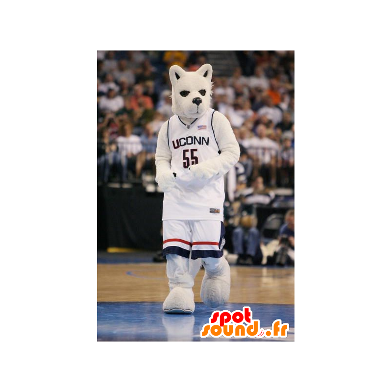 White and black wolf mascot - MASFR20394 - Mascots Wolf White and black wolf mascot - MASFR20394 - Mascots Wolf