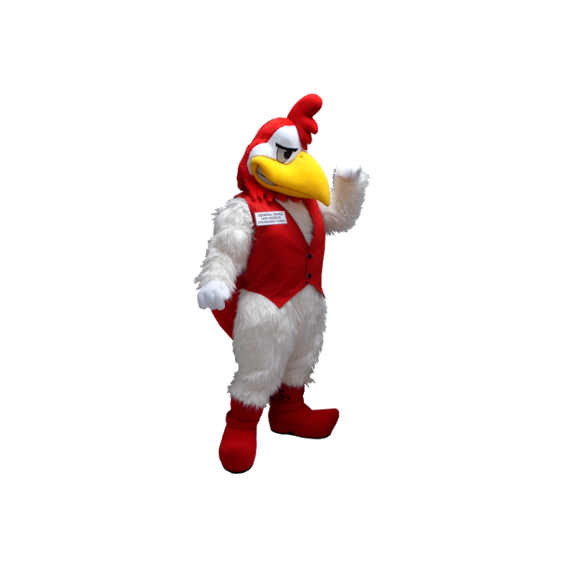 Bianco e rosso gallo mascotte - MASFR20402 - Mascotte di galline pollo gallo