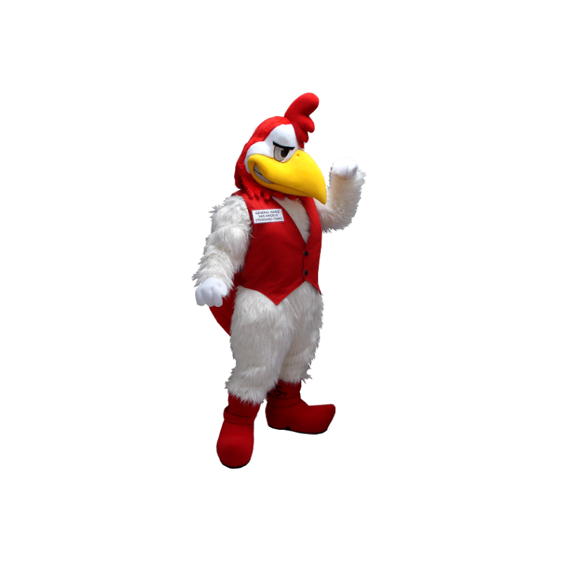 Mascote do galo branco e vermelho - MASFR20402 - Mascote Galinhas - galos - Galinhas