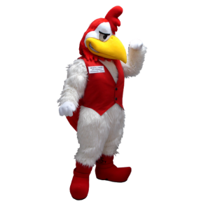 Bianco e rosso gallo mascotte - MASFR20402 - Mascotte di galline pollo gallo