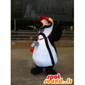 Mascote pinguim preto e branco com uma tampa - MASFR20403 - pinguim mascote