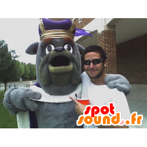 Gray buldogmascotte, gekleed in king - MASFR20419 - Dog Mascottes