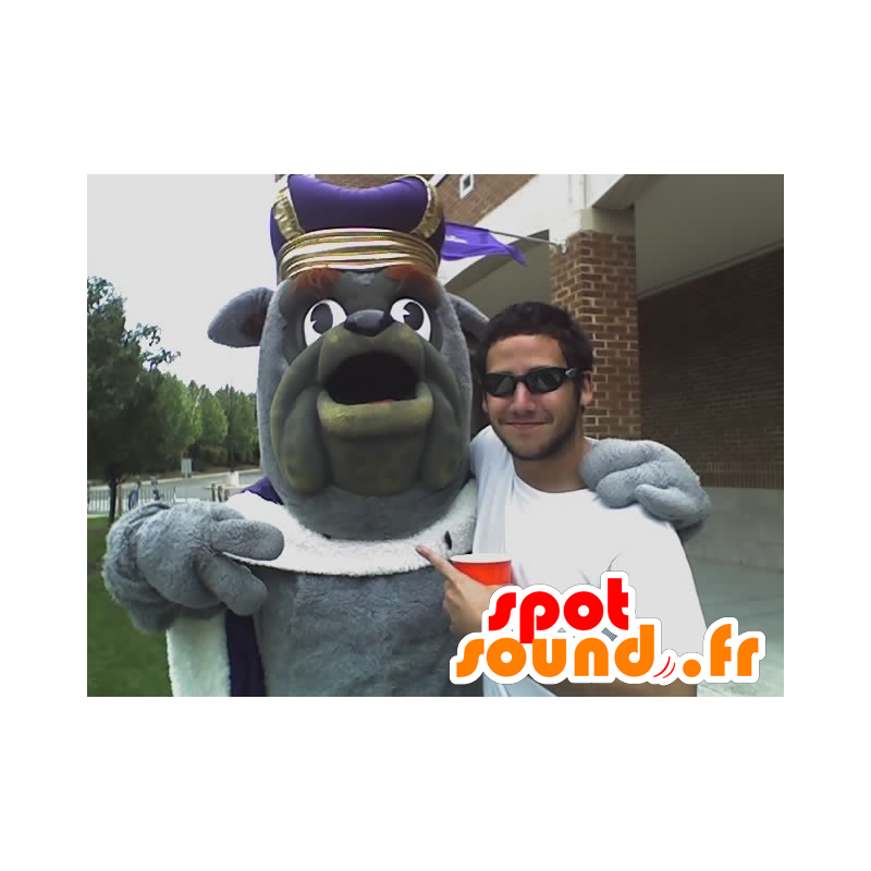 Grå bulldog maskot, klædt som en konge - Spotsound maskot Grå bulldog maskot, klædt som en konge - Spotsound maskot