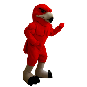 Maskotka czerwony orzeł, bardzo muskularny - MASFR20420 - ptaki Mascot