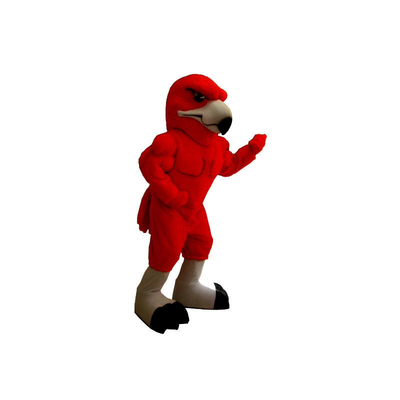Red Eagle mascotte, molto muscoloso - MASFR20420 - Mascotte degli uccelli