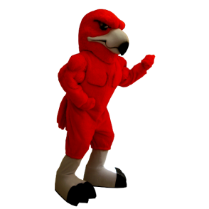 Red Eagle mascotte, molto muscoloso - MASFR20420 - Mascotte degli uccelli