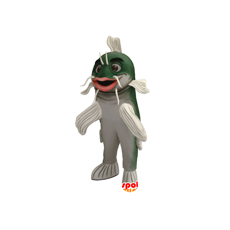 Catfish mascote, verde e branco - MASFR20427 - Mascotes gato