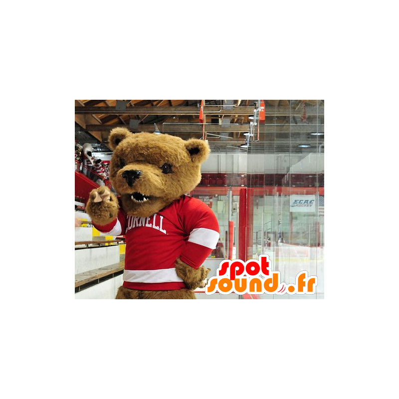 Mascotte brown bear with a red and white sweater - MASFR20476 - Bear mascot