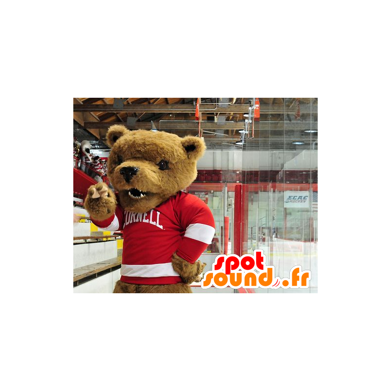 Mascotte oso marrón con un suéter rojo y blanco - MASFR20476 - Oso mascota