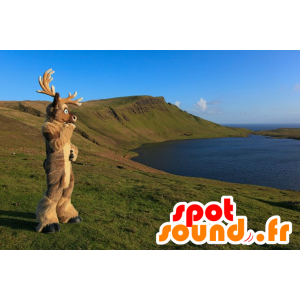 Mascotte elk, reindeer, caribou brown - MASFR20505 - Animals of the forest